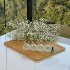 Molde de Plástico para Hielo 4 Cavidades Redondas 250ml