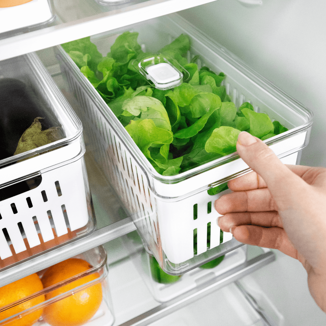 Cesto Organizador Transparente de 5 Litros