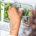 Tarro Organizador para Especias Frescas de 2,3 Litros