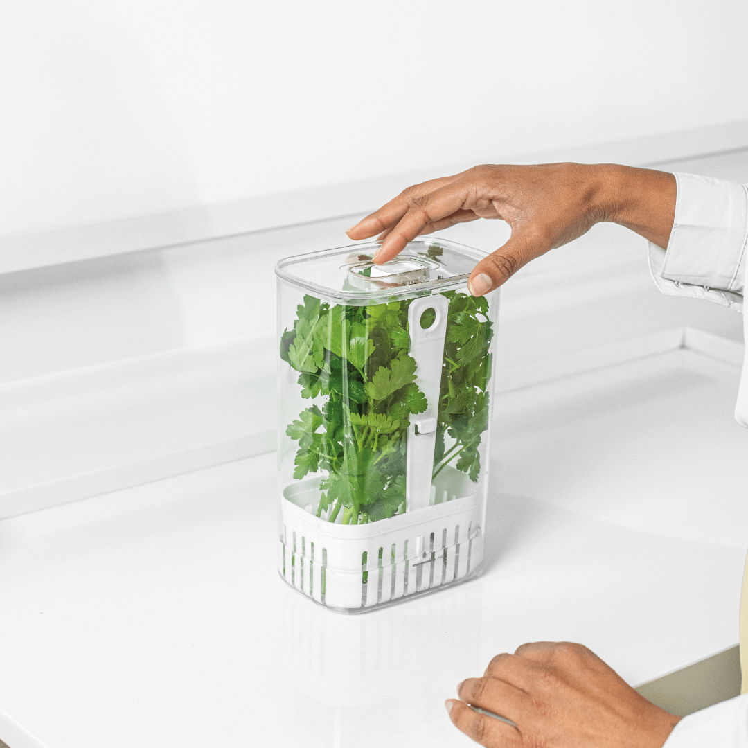 Tarro Organizador para Especias Frescas de 2,3 Litros