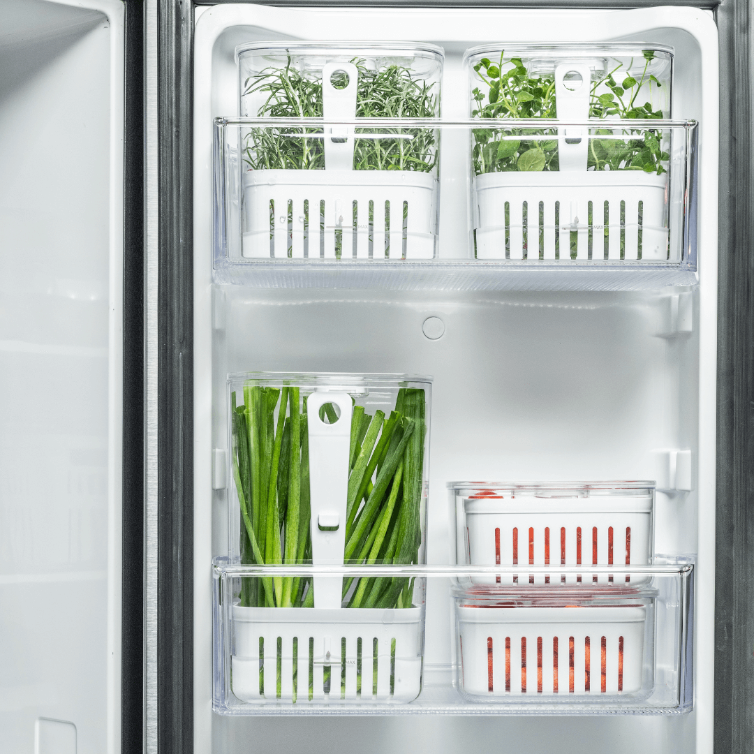 Tarro Organizador para Especias Frescas de 2,3 Litros