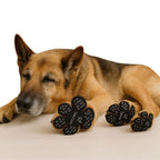 Protector de Patas PetSafe™ | Antideslizante y Transpirable para Perros y Gatos